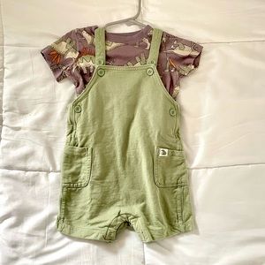Carter’s Dinosaur Overall Outfit